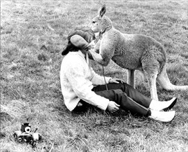 Kangaroo comforts photographer
