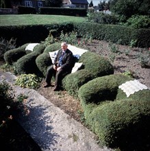 Old man sitting on an armchair cut from a hedge