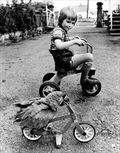 Parrot and boy ride a bicycle