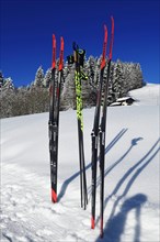 Cross-country skis are stuck in the snow