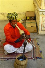 Snake charmer with cobra in the city palace