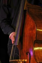 Conrad Steinhoff of the Gerold Heitbaum Quartet plucking on contrabass