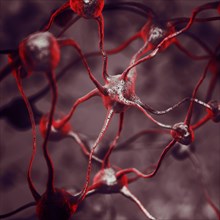 3D illustration of a Biological Neural network of a human brain