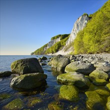 Chalk rocks and boulders on the Baltic Sea in spring