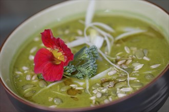 A bowl of healthy Green Goddess home-made soup made of freshly pureed organic greens and vegetables