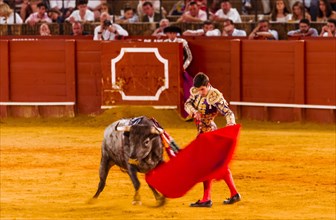 Racing bull with matador