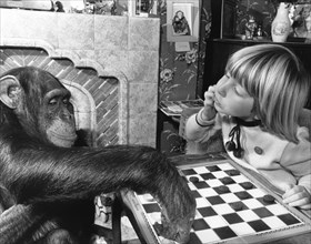 Girl and chimpanzee playing the mill game