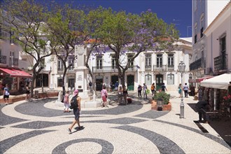 Place Praca Luis de Camoes with flowering trees