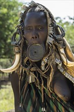 Woman with lip plate and headdress