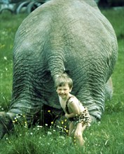 Child pulls elephant on tail