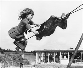 Chimpanzee and girl on the swing