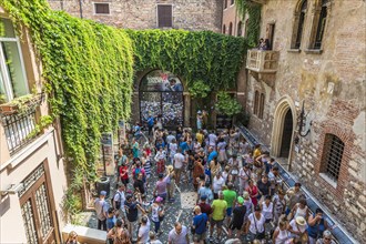 Tourists in the courtyard
