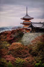 Kiyomizu-dera Sanjunoto pagoda in autumn with colorful red trees