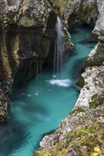 Emerald green wild river Soca flows through rocky gorge