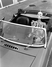 Skeleton drives a car