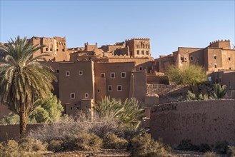 Fortress Kasbah Taourirt