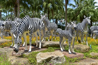 Zebra figures