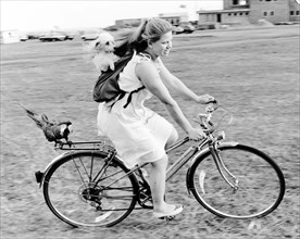 Woman rides with dog and parrot on a bicycle