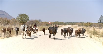 Himba men