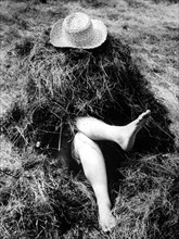 Legs sticking out of haystacks approx. 1970s