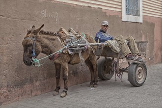 Man on donkey cart during a break