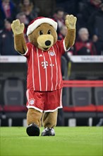 Mascot Bernie