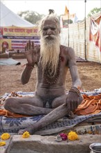 Naked Sadhu during Hindu festival Kumbh Mela