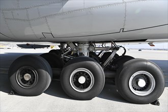Main landing gear