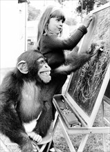 Girl and monkey write on blackboard