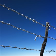 Barbed wire with frost in winter in front of blue sky