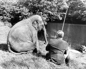 Elephant and man sit together by the river and fish