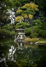 Japanese Zen garden with a lantern and a pond