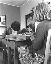 Girl with a fox in school