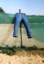 Wind blown Jeans attached to fence ca. 1970s