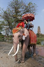 Tourists ride on decorated elephant in Ayutthaya Historical Park