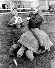 Kind rides on a giant turtle