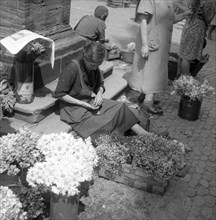 Flower seller counts her daily income