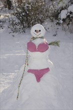 Snowwoman with bra and panties
