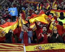 Cheers from Spanish fans during football match