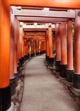 Senbon torii