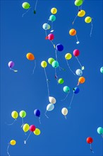 Colorful balloons rise to the sky
