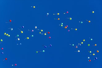 Colorful balloons rise to the sky