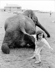 Girl pulls elephant on tail
