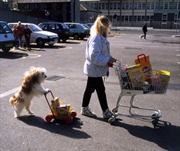 Woman and dog with shopping cart