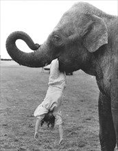 Elephant with child in mouth
