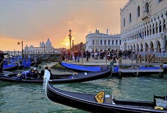 Piazzetta with Doge's Palace and Church of Santa Maria della Salute at sunset