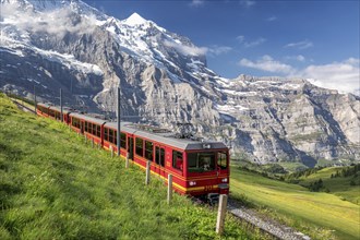 Train from the Jungfrau railway near Kleine Scheidegg