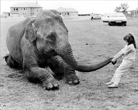 Girl plays with elephant