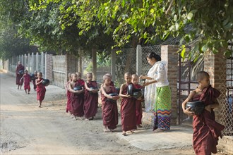 Young monks on their morning traditionell alms rounds