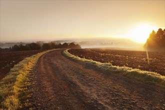 Way between farmland with morning mist at sunrise